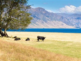 New Zealand vejrudsigt