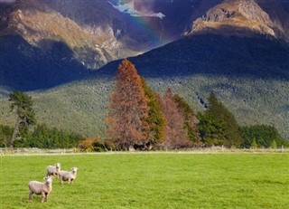 Yeni Zelanda hava tahmini
