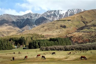 Yeni Zelanda hava tahmini