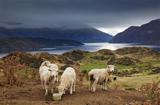 nouvelle Zélande prévisions météorologiques
