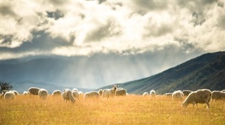 New Zealand vejrudsigt