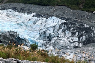 Yeni Zelanda hava tahmini