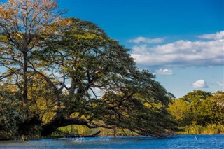 Nicaragua prévisions météorologiques