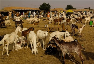 Niger vejrudsigt