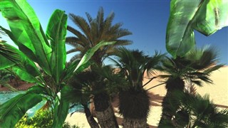 Niger prévisions météorologiques