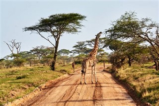 Niger vejrudsigt