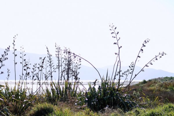 Norfolk Adası hava tahmini