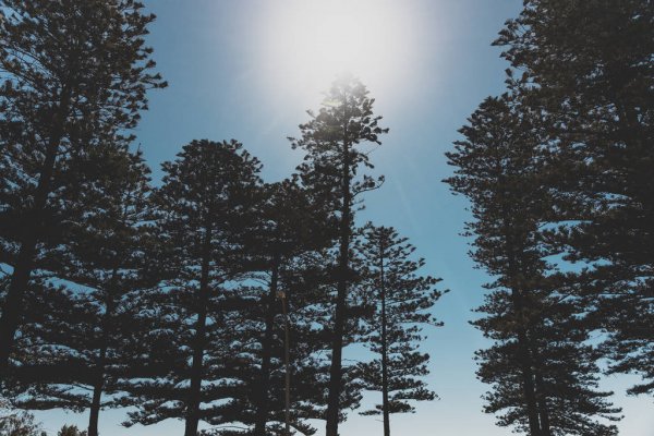 Norfolk Island vejrudsigt