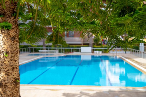 Norfolk Adası hava tahmini