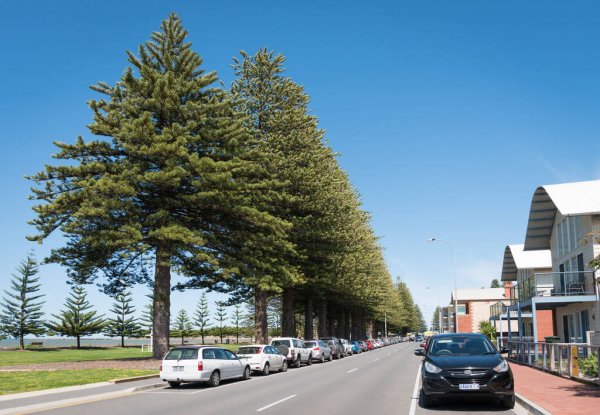 Norfolk Island vejrudsigt