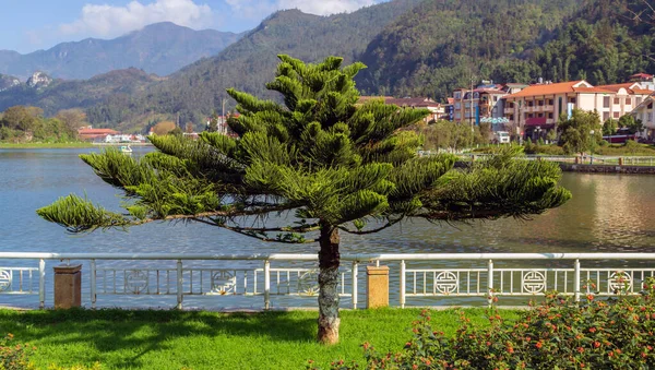 Norfolk Adası hava tahmini