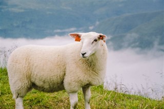 Norveç hava tahmini