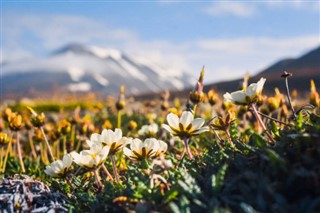 Norveç hava tahmini