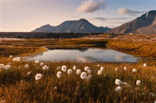 Norveç hava tahmini