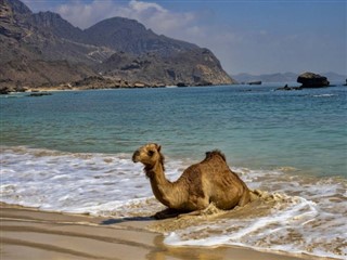 Oman vejrudsigt