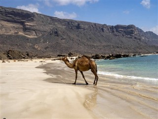 Oman vejrudsigt