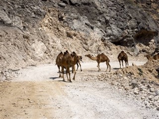 Oman vejrudsigt