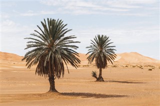 Umman hava tahmini
