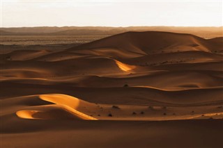 Oman vejrudsigt