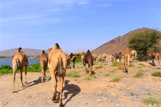 Oman weather forecast