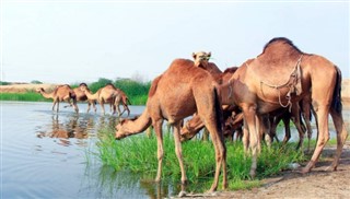 Oman vejrudsigt