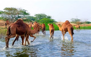 Oman vejrudsigt