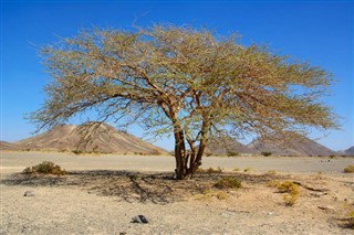Oman vejrudsigt