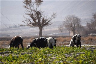 Pakistan previsioni del tempo