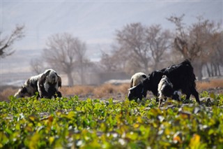 باكستان توقعات الطقس