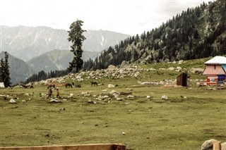 Pakistan vejrudsigt