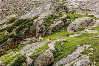 Pakistan hava tahmini