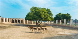 Pakistan hava tahmini