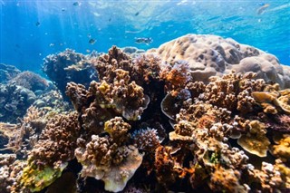 Palau hava tahmini