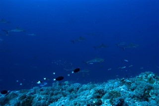 Palau hava tahmini