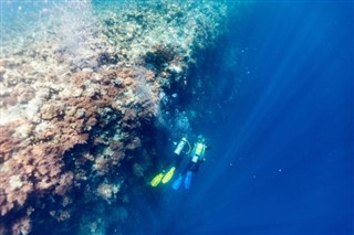 Palau hava tahmini