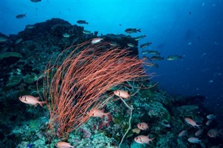 Palau hava tahmini