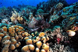 Palau hava tahmini