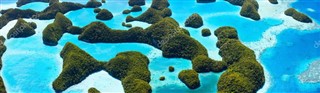 Palau hava tahmini