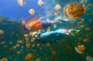 Palau hava tahmini