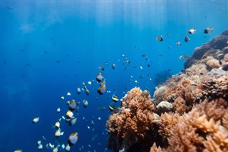 Palau hava tahmini