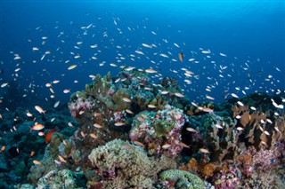 Palau hava tahmini