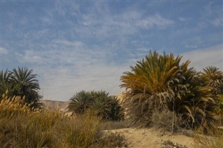Territoire Palestinien prévisions météorologiques