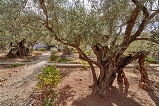 Palestinsko područje vremenska prognoza