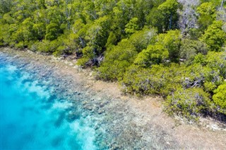 Papua Yeni Gine hava tahmini
