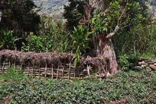 Papua Yeni Gine hava tahmini