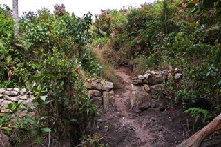 Papua Yeni Gine hava tahmini