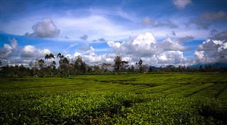 Papua Yeni Gine Hava tahmini