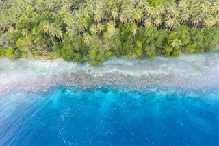 Papua Yeni Gine hava tahmini