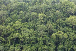 Papua Yeni Gine hava tahmini