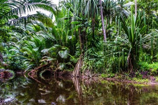 Papua Ny Guinea vejrudsigt